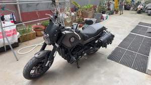 二手贝纳利幼狮 Leoncino 500