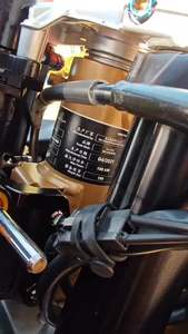 二手奥古斯塔Superveloce 800