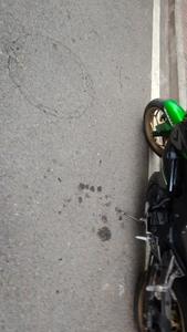 二手川崎Z 250 ABS