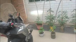 二手三阳行者 Joyride300