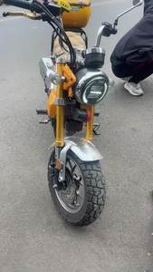 二手斯托纳猿猴