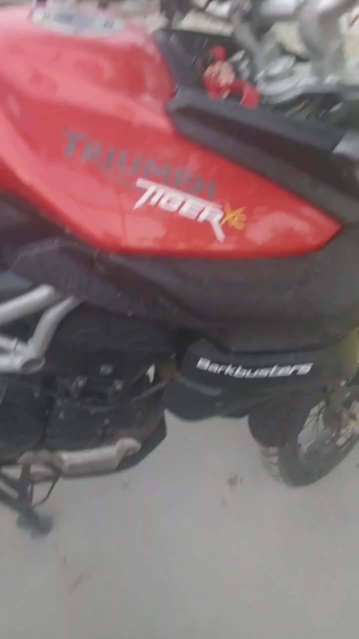 二手凯旋Tiger 800XC