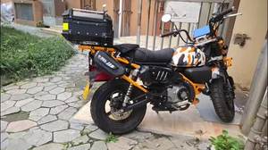 二手曼肯灵明-野趣